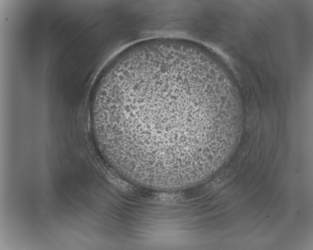 X0000074961271200609221748