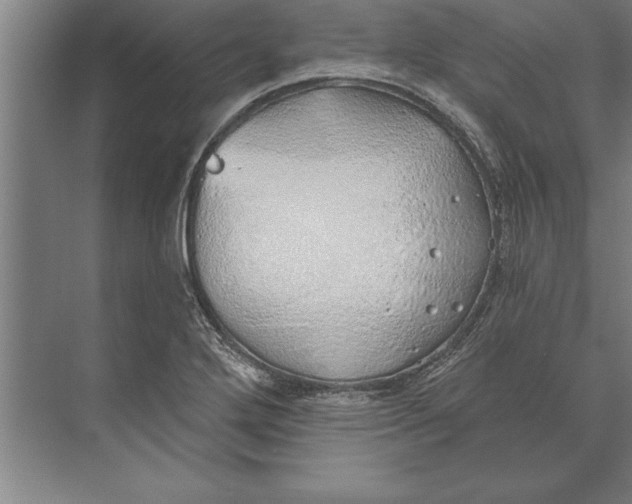 X0000074961272200609221747