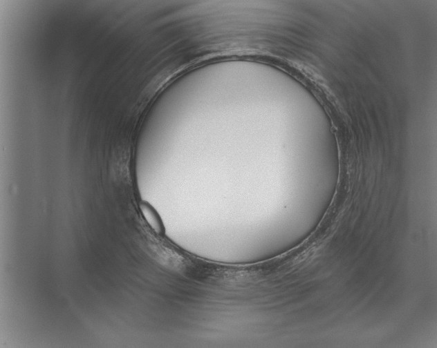 X0000074961273200609221747