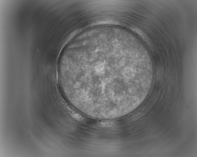 X0000074961274200609221747