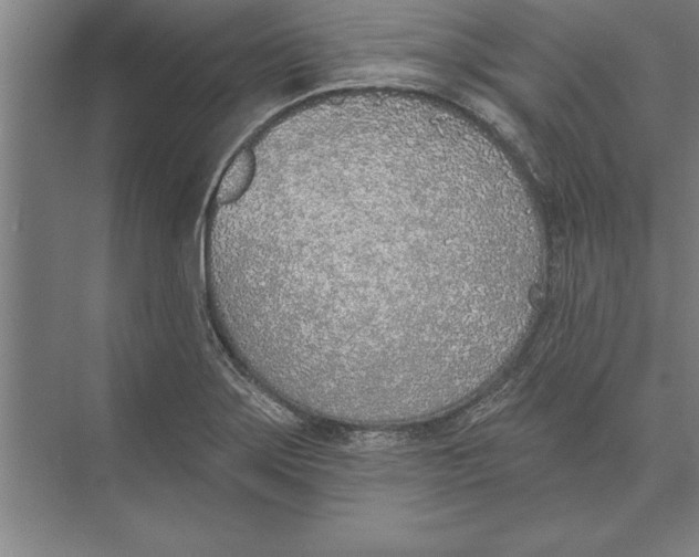 X0000074961275200609221747