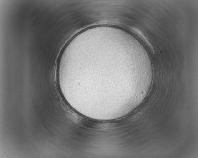 X0000074961276200609221747