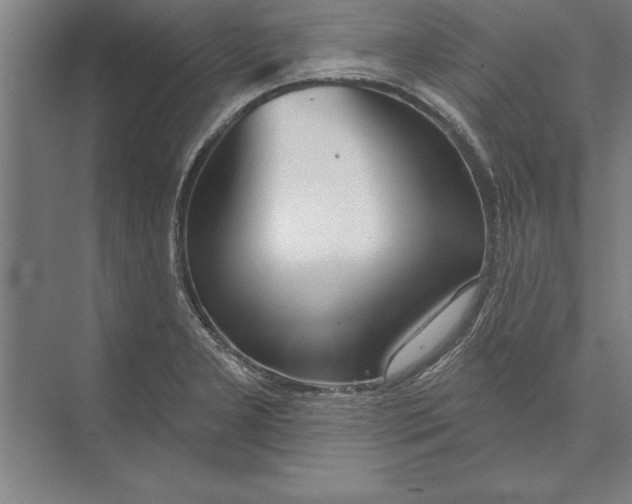 X0000074961277200609221747