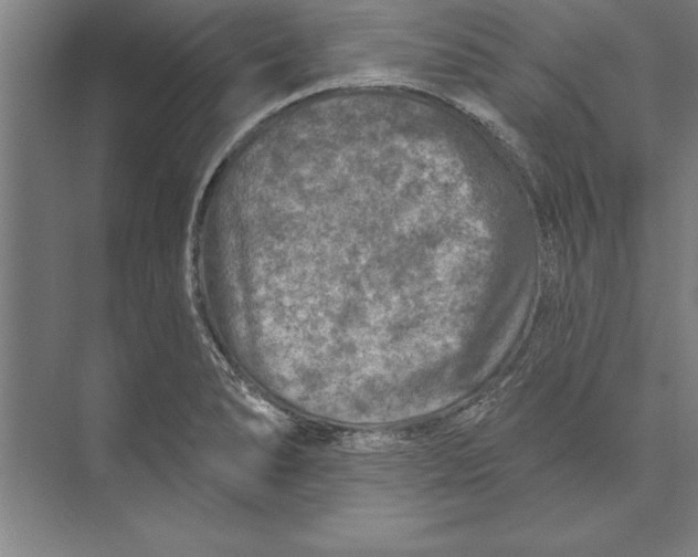 X0000074961278200609221747