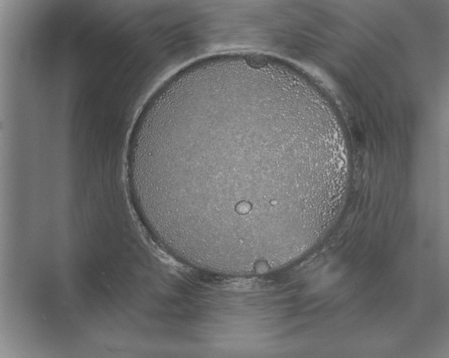 X0000074961279200609221747