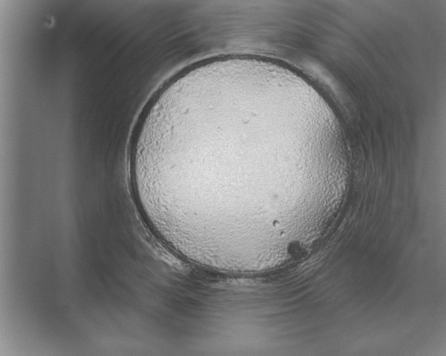 X0000074961280200609221747