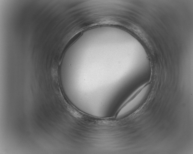 X0000074961281200609221747