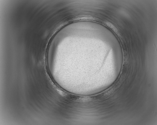 X0000074961282200609221747