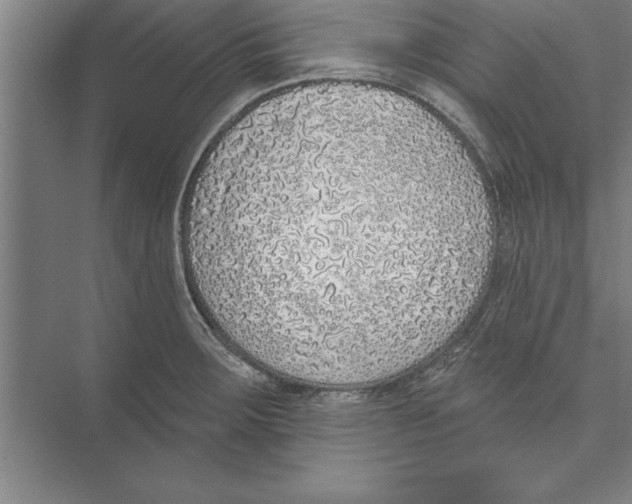 X0000074961283200609221747