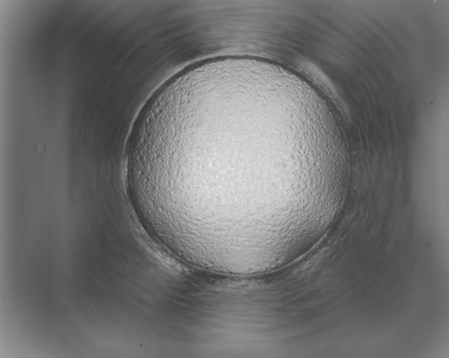 X0000074961284200609221747