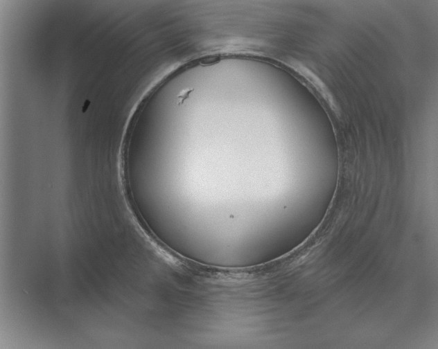 X0000074961285200609221747