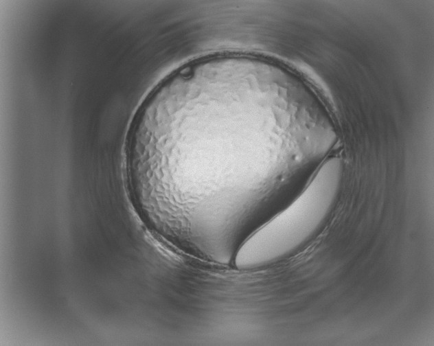 X0000074961287200609221747