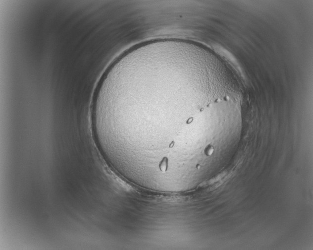 X0000074961288200609221747