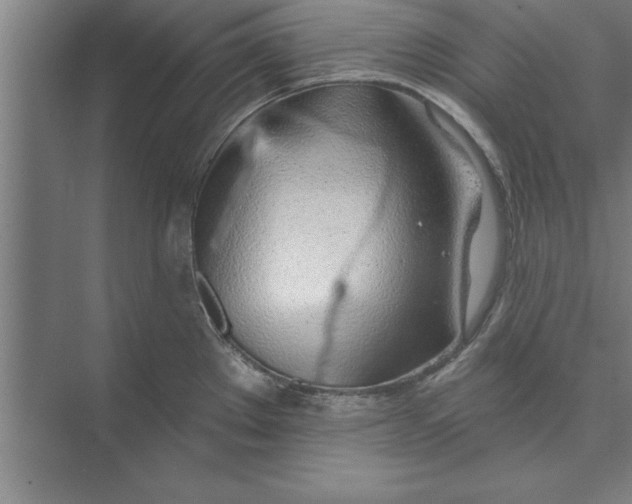 X0000074961289200609221747