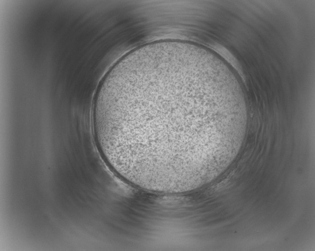 X0000074961290200609221747