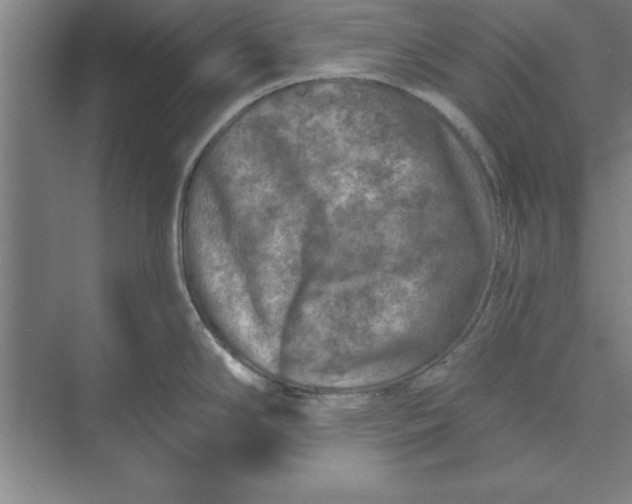 X0000074961294200609221747