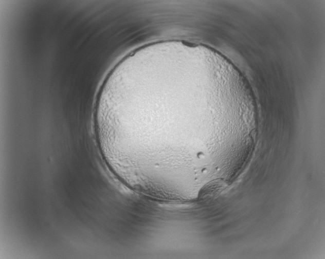 X0000074961296200609221747