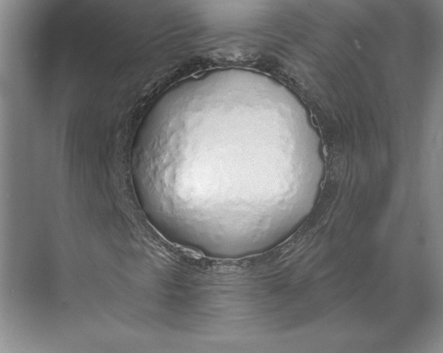 X0000074961297200609221746