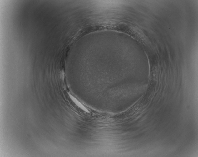 X0000074961298200609221746