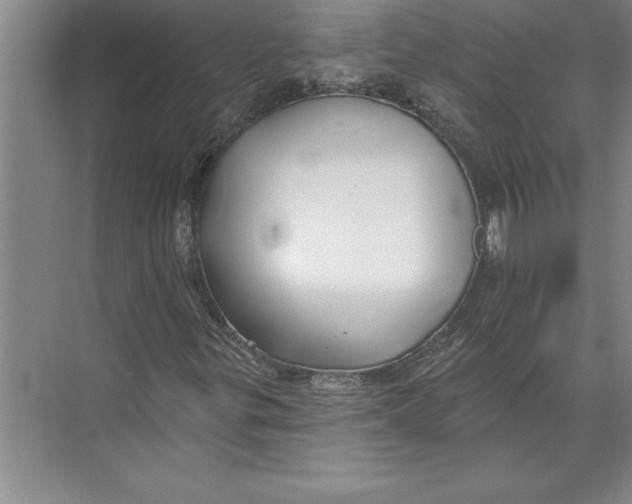 X0000074961299200609221746