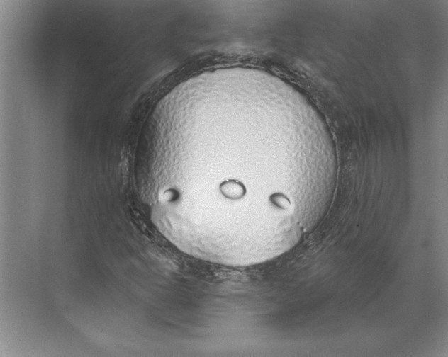 X0000074961302200609221746