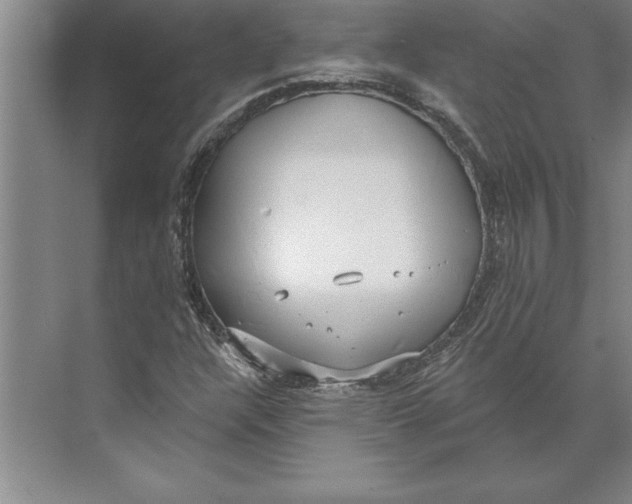 X0000074961304200609221746