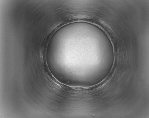 X0000074961305200609221746