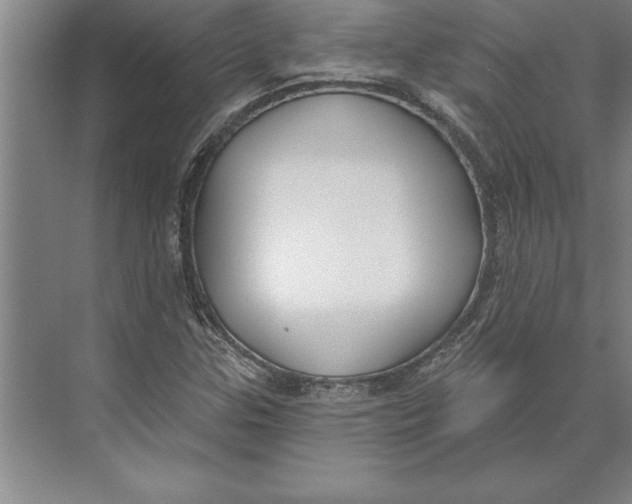 X0000074961307200609221746