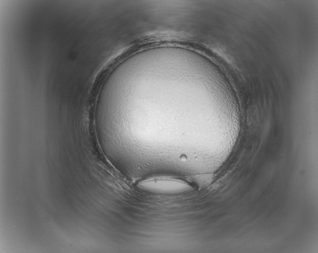 X0000074961309200609221746