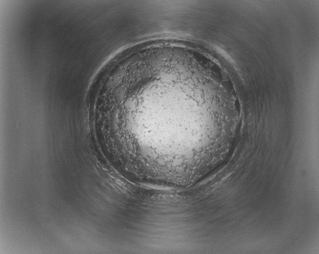 X0000074961310200609221746