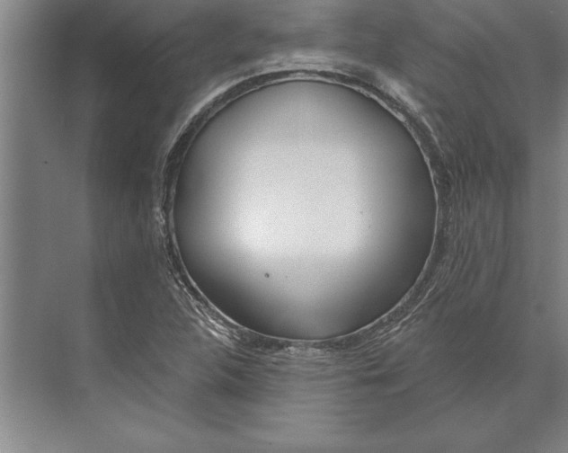 X0000074961312200609221747