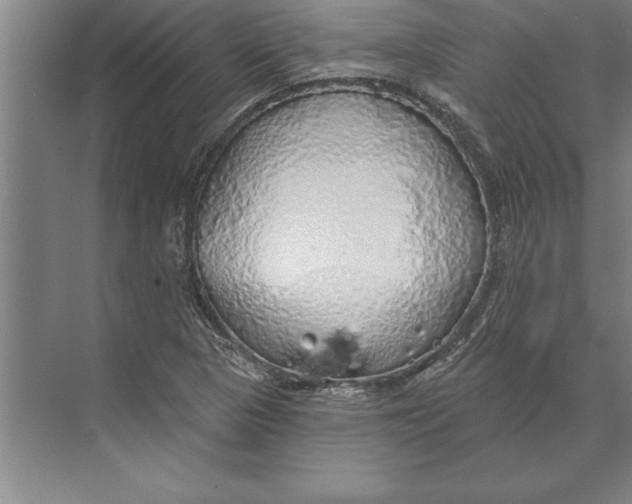 X0000074961313200609221747