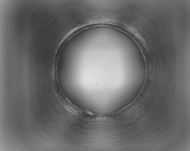 X0000074961316200609221747