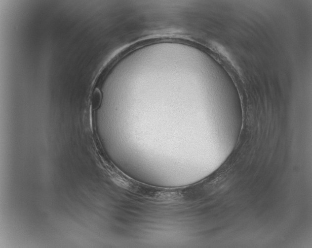 X0000074961320200609221747