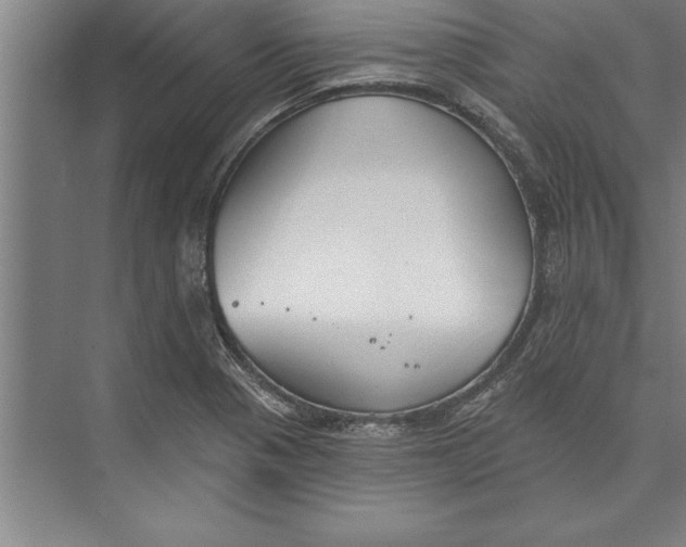 X0000074961321200609221747