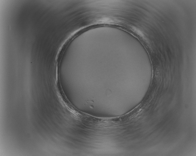 X0000074961323200609221747