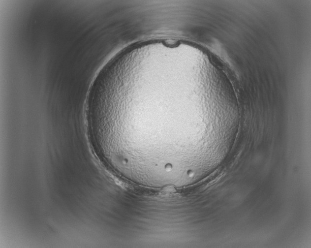 X0000074961325200609221747