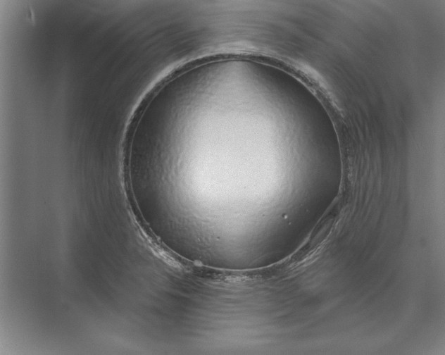 X0000074961326200609221747