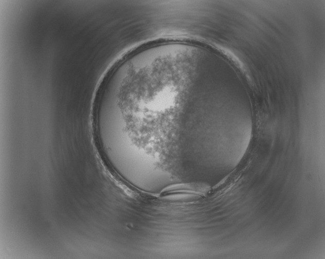 X0000074961327200609221747