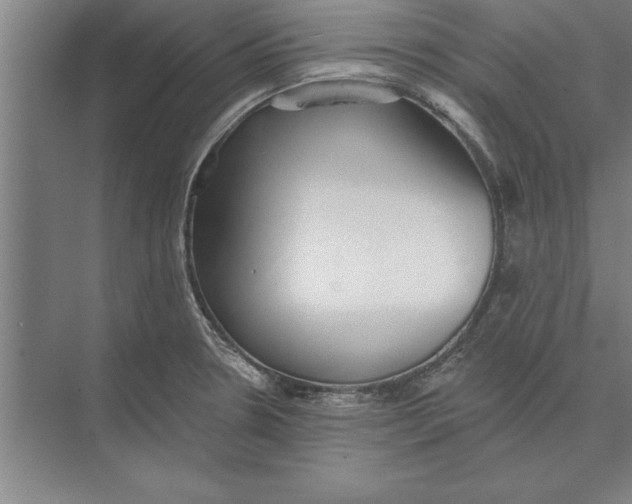 X0000074961330200609221747