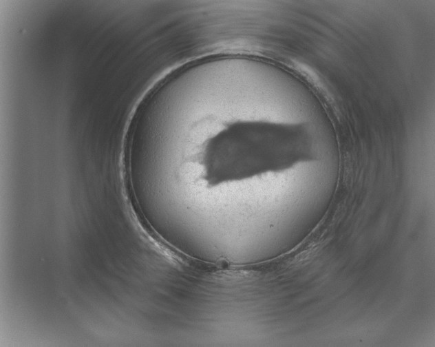 X0000074961331200609221747