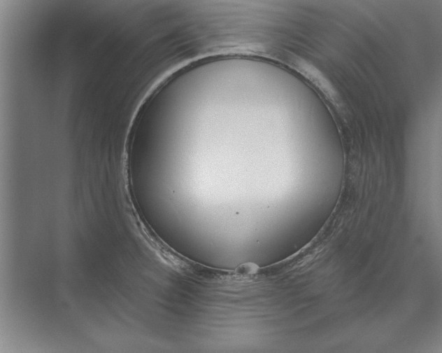 X0000074961332200609221747