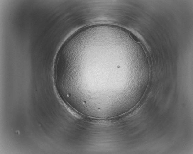 X0000074961333200609221747