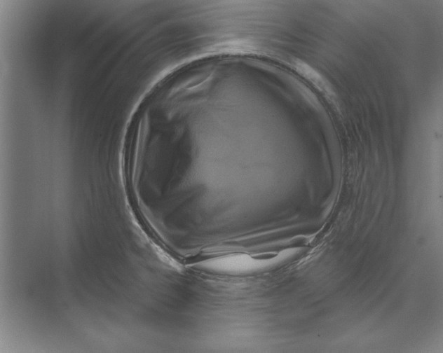 X0000074961334200609221747