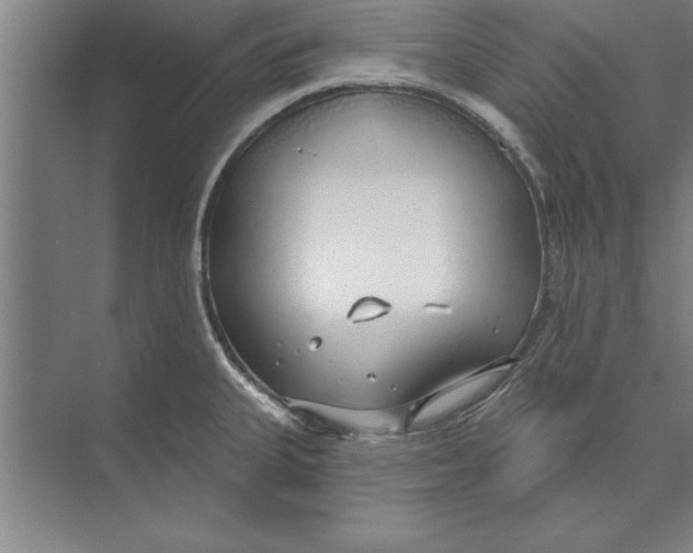 X0000074961335200609221747