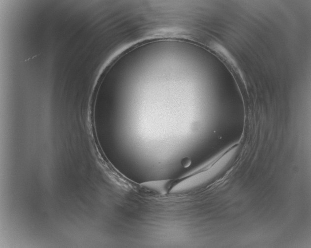 X0000074961336200609221747