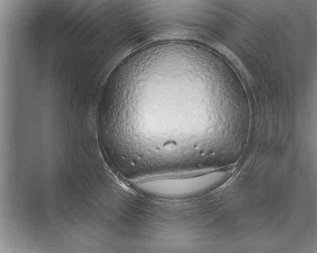 X0000074961337200609221747