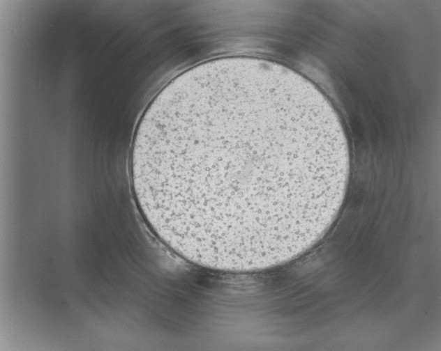 X0000074961338200609221747