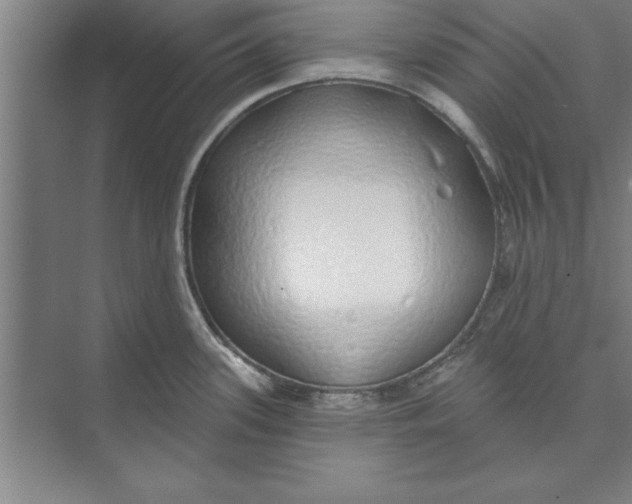 X0000074961339200609221747