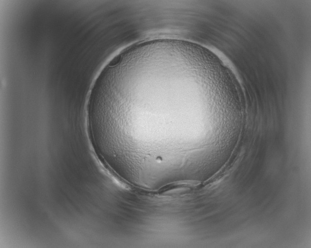 X0000074961341200609221747